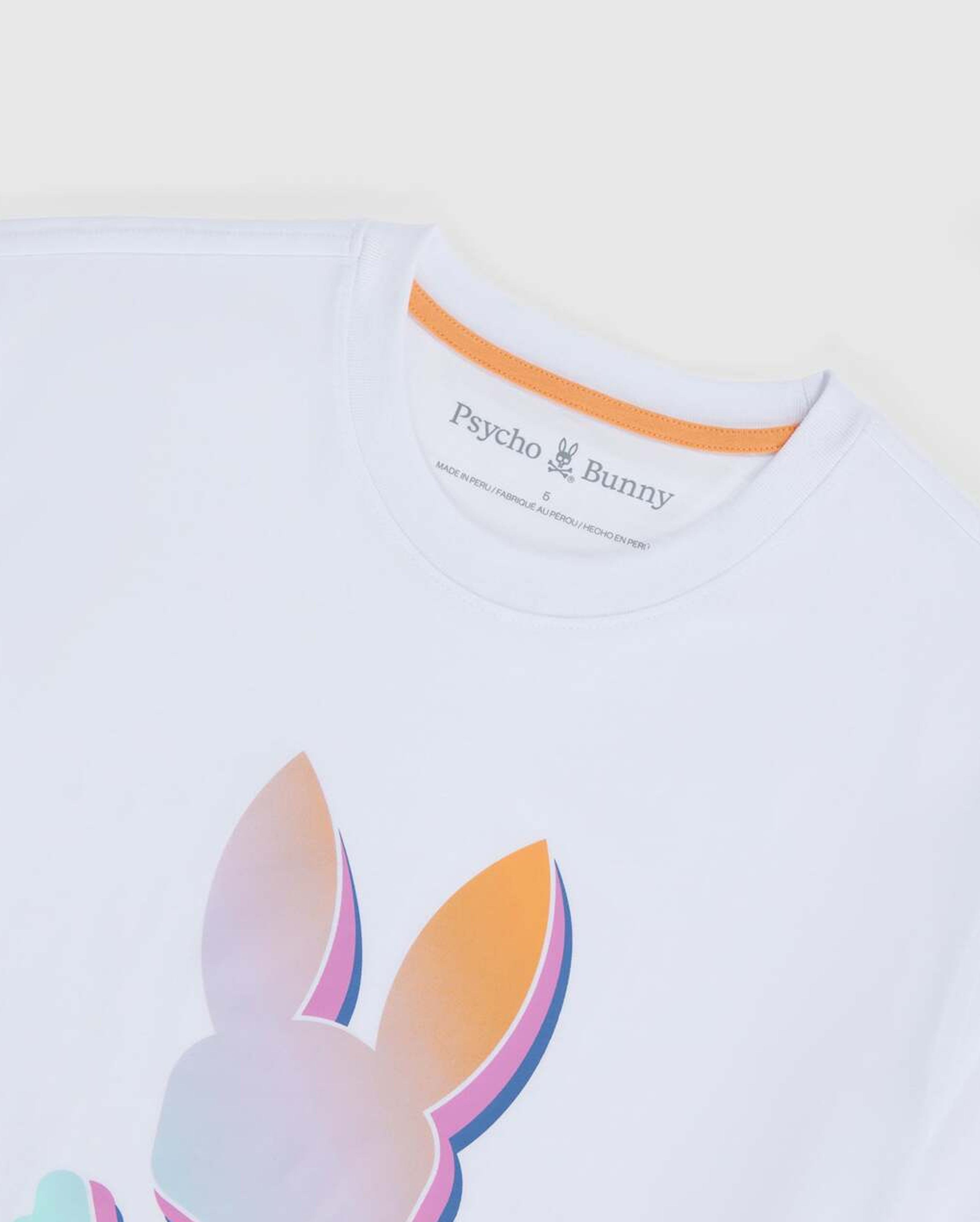 PALM SPRINGS GRAPHIC TEE
