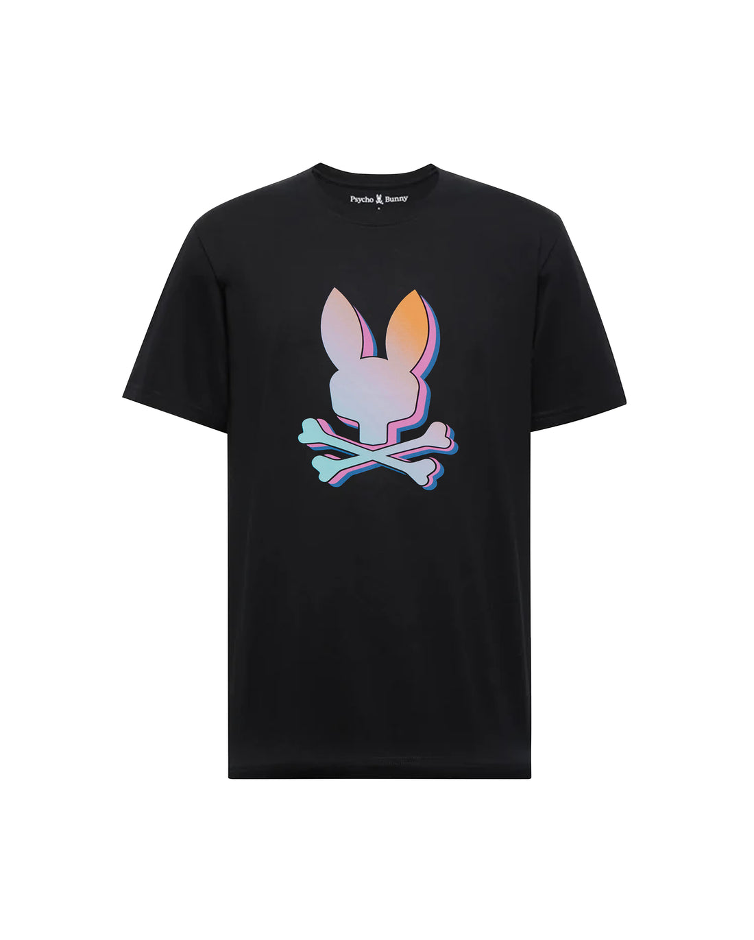 PALM SPRINGS GRAPHIC TEE