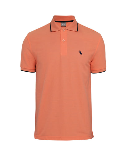 370 BASIC POLO