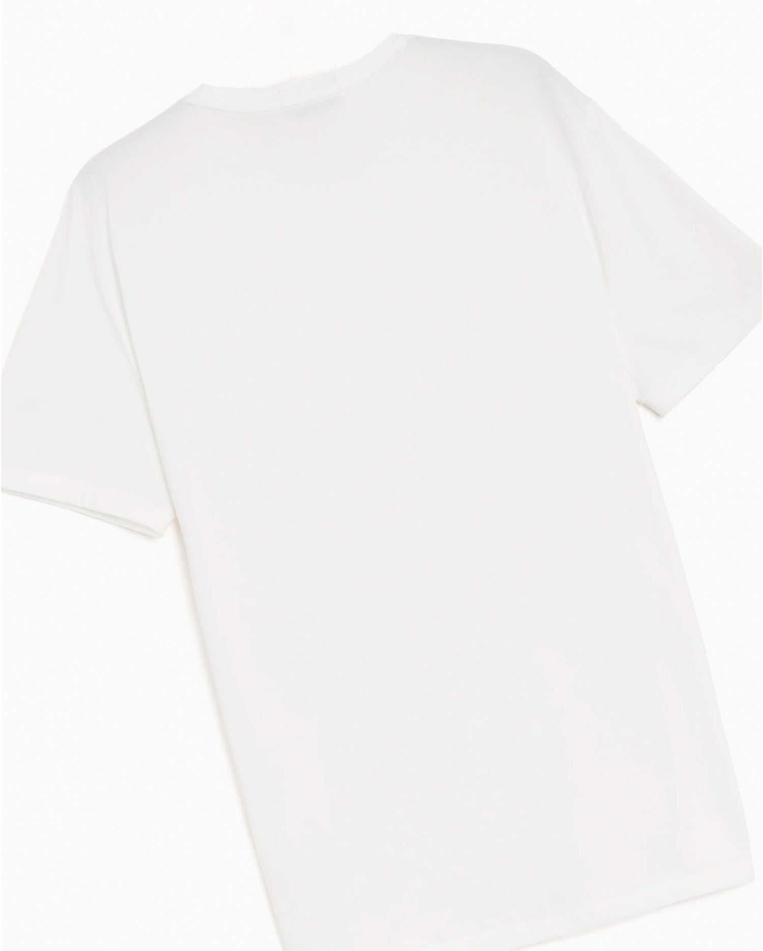 CUSTOM FIT POLO BEAR T-SHIRT