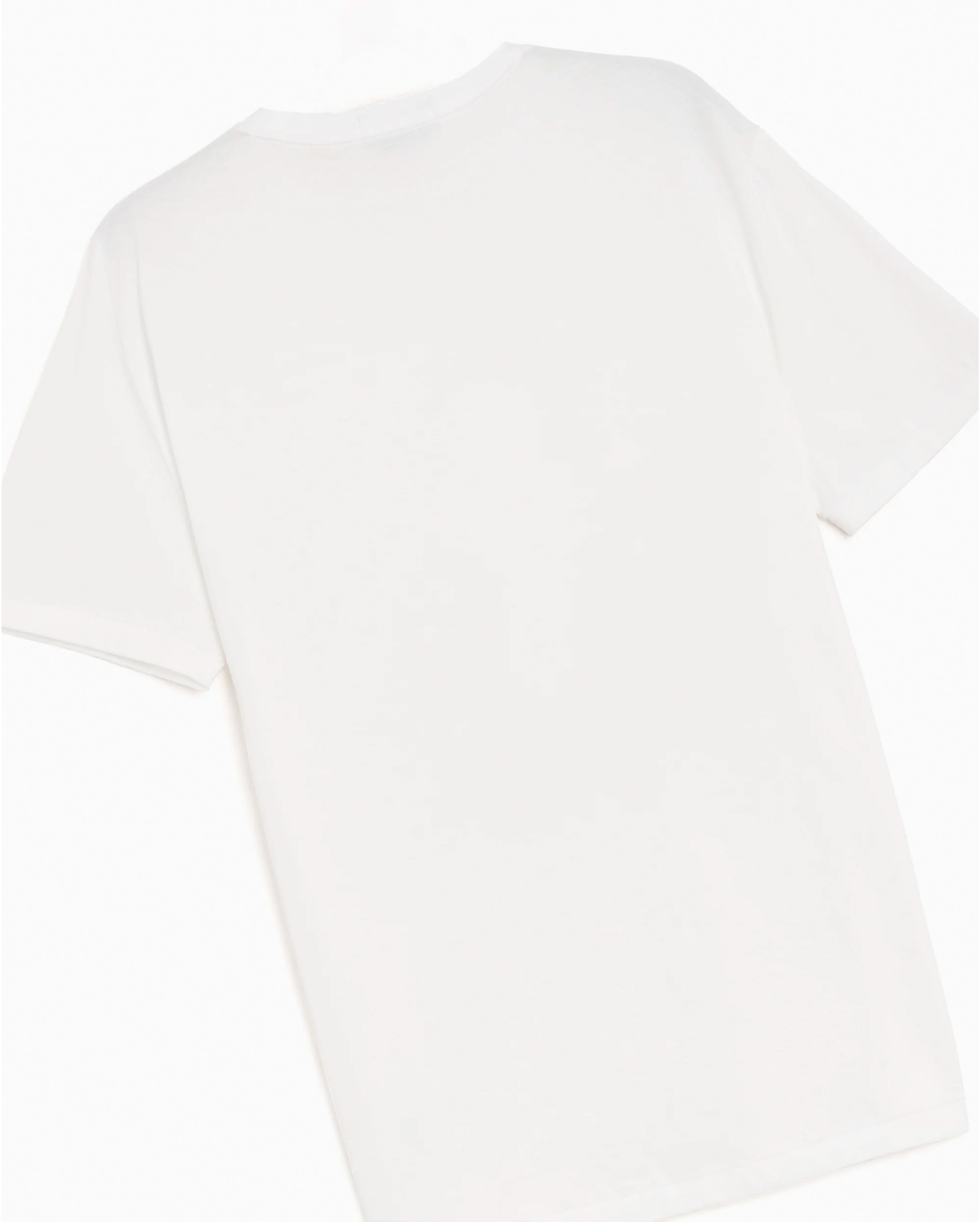 CUSTOM FIT POLO BEAR T-SHIRT